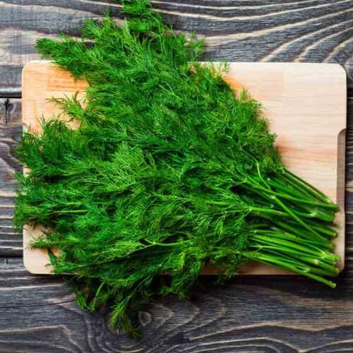 Dill-Flecked Yogurt Sauce Recipe